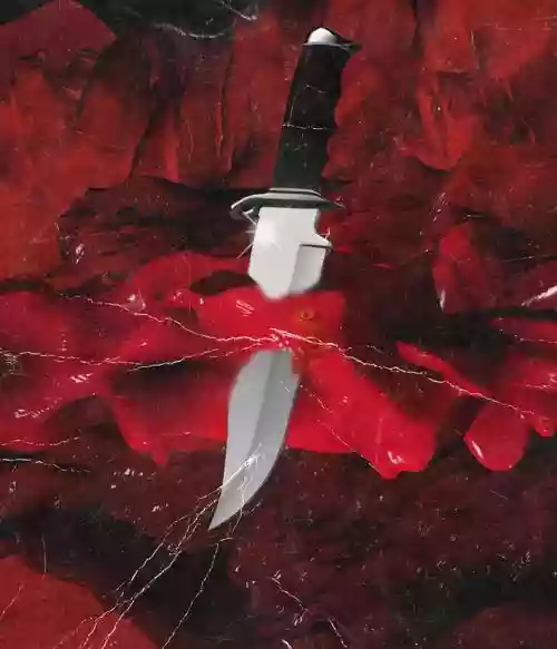 Cover di Savage Mode