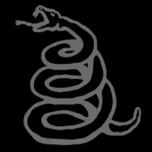 Cover di Black Album