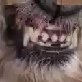 <b>Blanck Mass</b> • World Eater