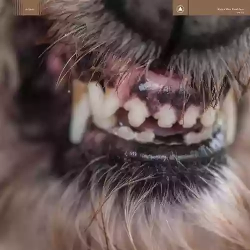 Cover Blanck Mass - World Eater