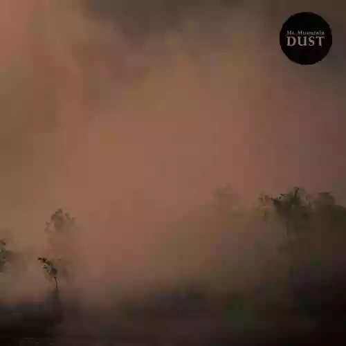 Cover di Dust