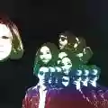 <b>Ty Segall</b> • Freedom's Goblin