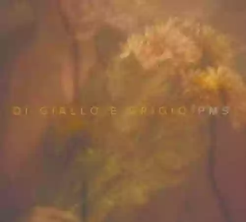 Cover di Di giallo in grigio