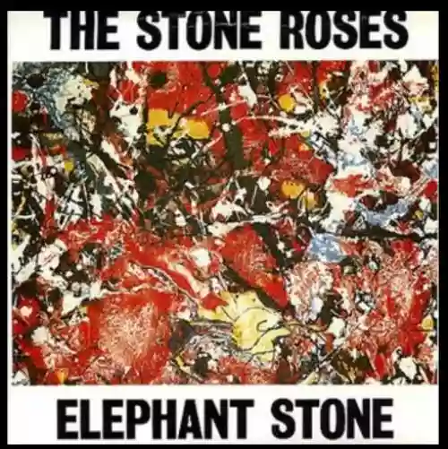 Cover di Elephant Stone