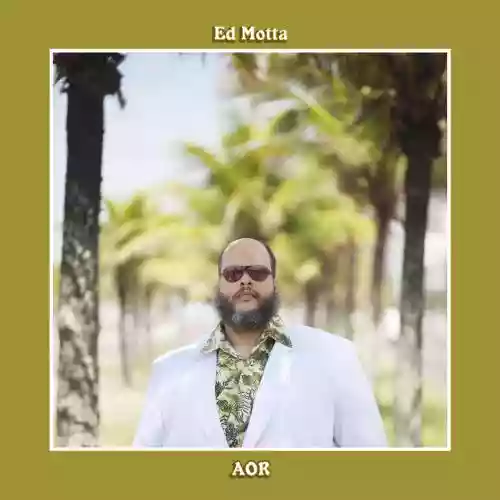 Cover di AOR