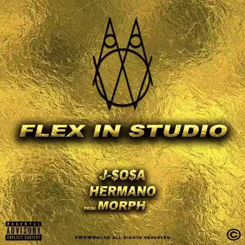 Cover di Flex in Studio 
