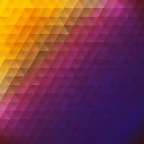 Cover di Circuit Bloom