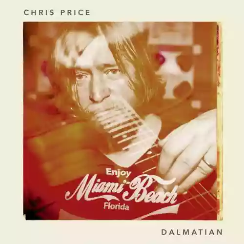 Cover di Dalmatian