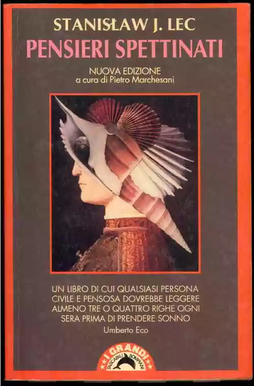 Cover di Pensieri spettinati