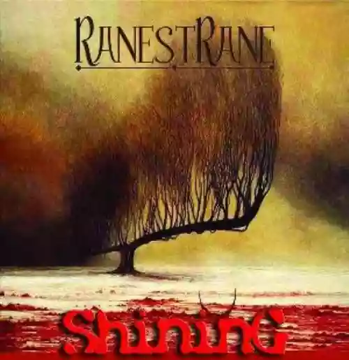 Cover di Shining