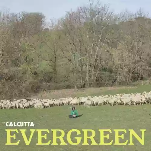 Cover di Evergreen