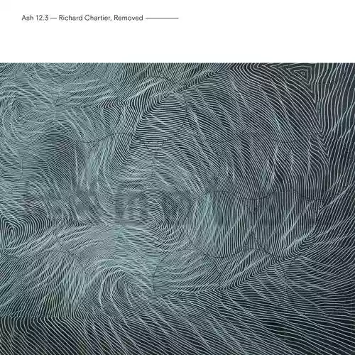 Cover di Removed
