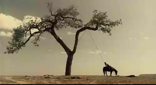 Cover di La ballata di Buster Scruggs 