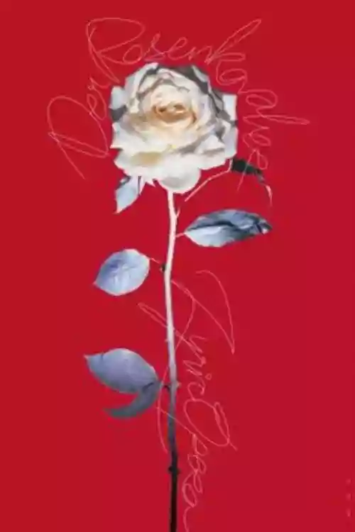 Cover di Der Rosenkavalier