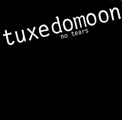 Cover di No Tears