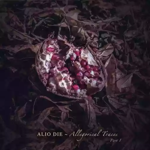 Cover di Allegorical Traces I