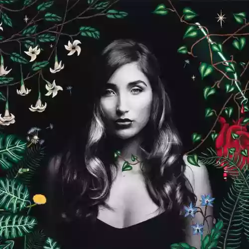 Cover di Wilderness