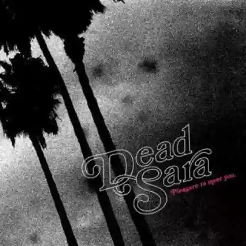 Cover di Pleasure to Meet You