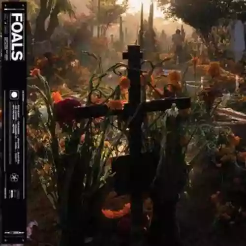 Cover di Everything Not Saved Will Be Lost - Part 2