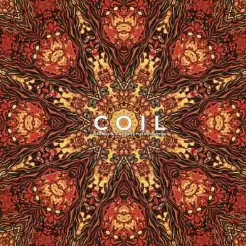 Cover di Stolen and Contaminated Songs