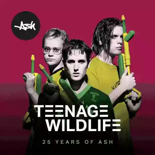 Cover di Teenage Wildlife: 25 Years Of Ash