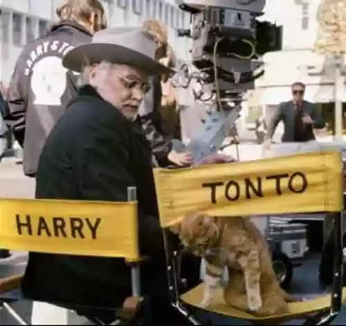 Cover di Harry & Tonto
