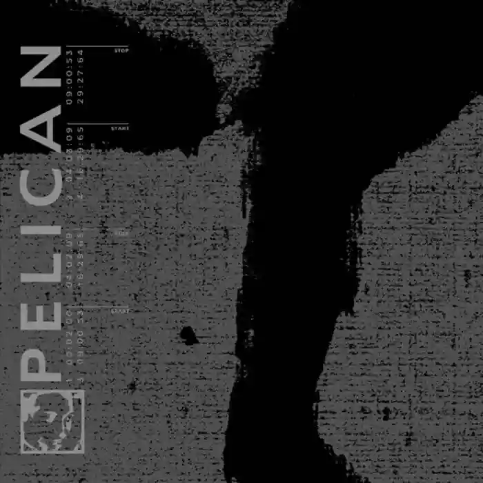 Cover of Pelican Pelican