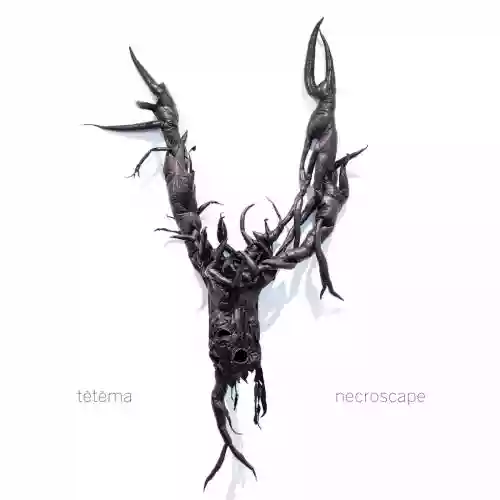 Cover di Necroscape