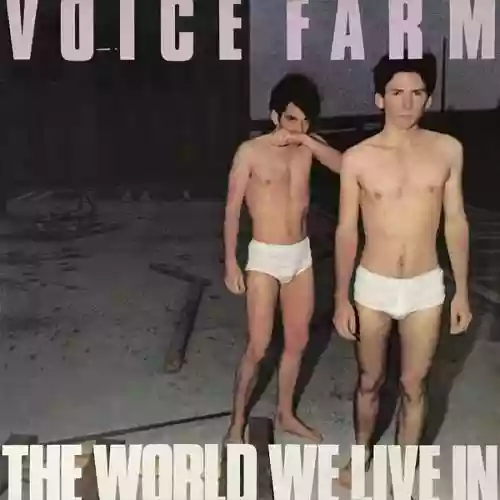 Cover di The World We Live In
