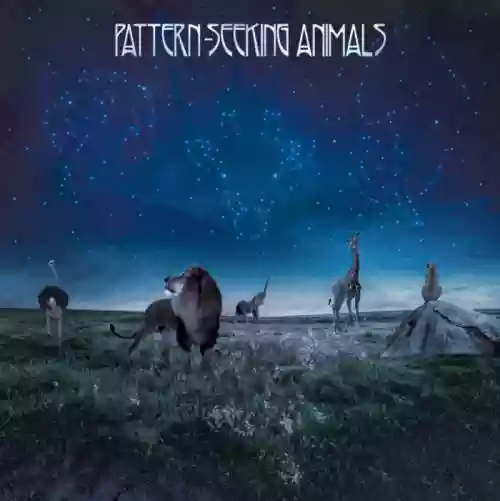 Cover di Pattern-Seeking Animals