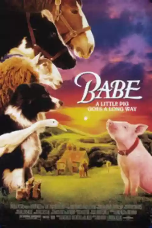 Cover di Babe, maialino coraggioso