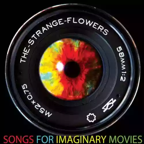Cover di Songs For Imaginary Movies