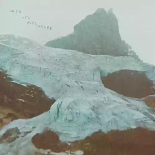 Cover di The Avalanche