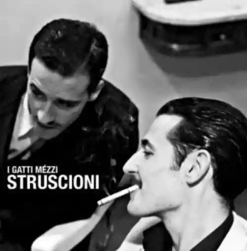 Cover I gatti mézzi - Struscioni