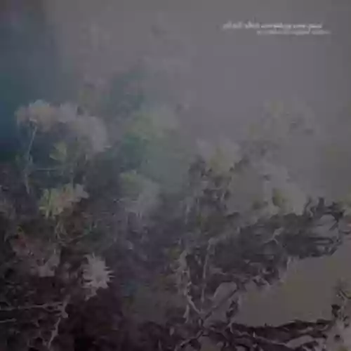 Cover di All Fell Silent, Everything Went Quiet