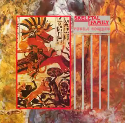 Cover di Futile Combat