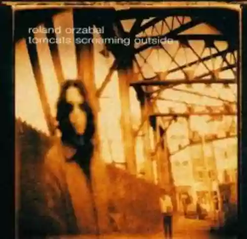 Cover di  Tomcats Screaming Outside