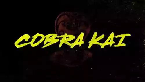 Cover di Cobra Kai
