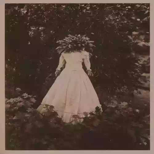 Cover di The Dreams in the Witch House  