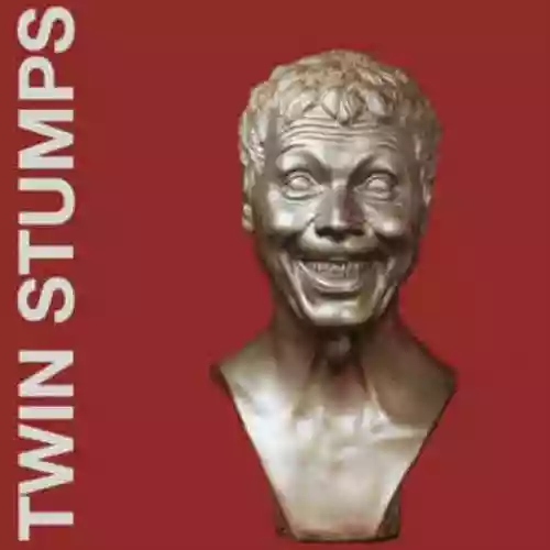 Cover di Twin Stumps