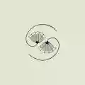 <b>Godspeed You! Black Emperor</b> • G_d’s Pee at State’s End!