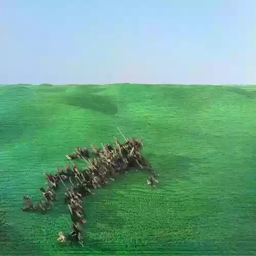 Cover di Bright Green Field