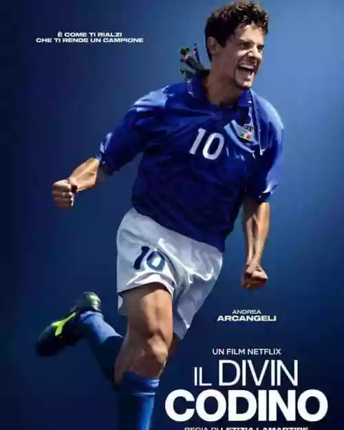 Cover di Il Divin Codino