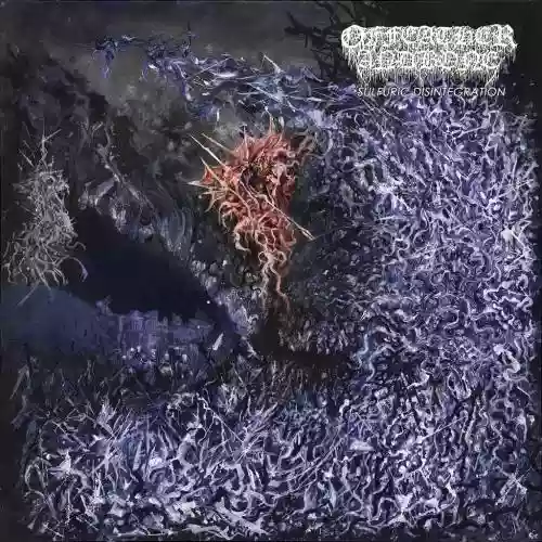 Cover di Sulfuric Disintegration