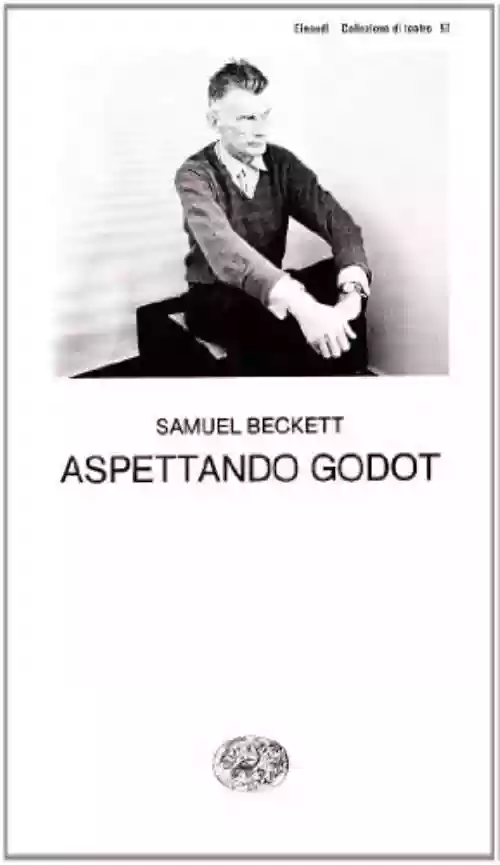 Cover di Aspettando Godot
