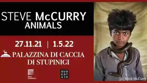 Cover di Animals