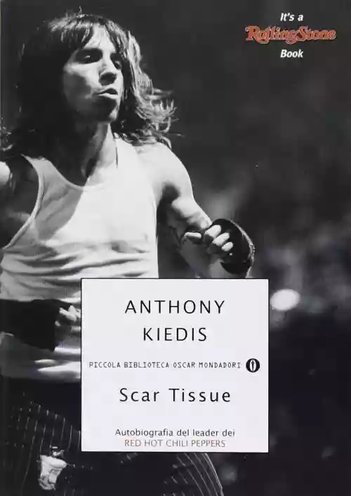 Cover di Scar Tissue