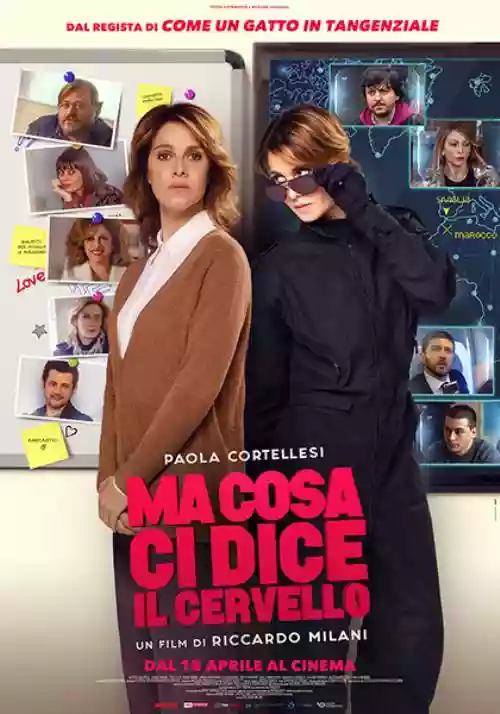 Cover di Ma cosa ci dice il cervello