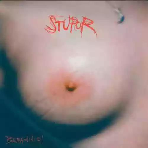 Cover di STUPOR