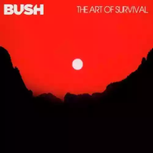 Cover di The Art Of Survival